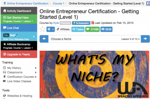 how to pick a niche training