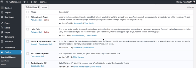 Things To Do After Installing WordPress: WordPress Dashboard Plugins page