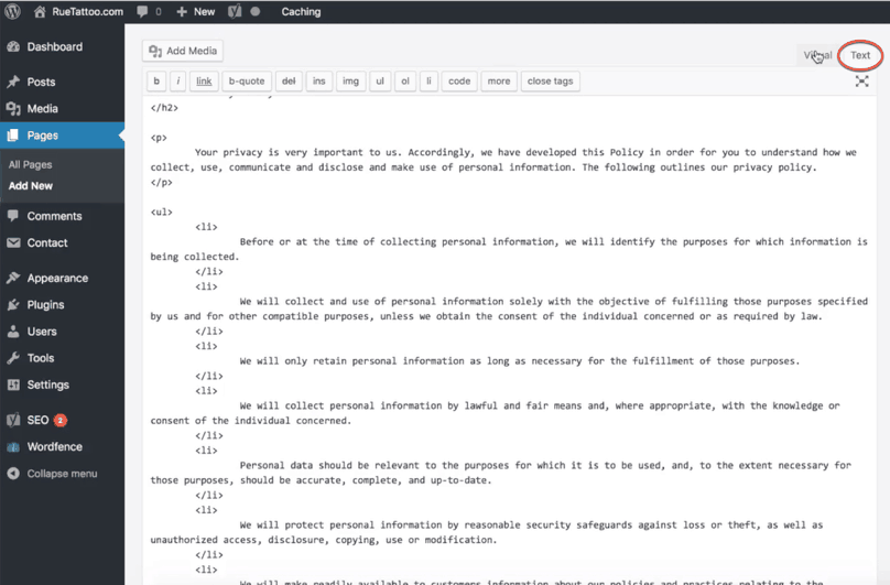 Essential Pages For A Website: WordPress Dashboard Privacy Policy Terms and Conditions