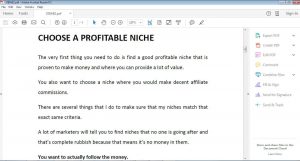 Choose a profitable niche