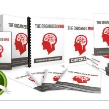 The Organized Mind Featured Image