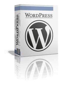 WordPress ebook