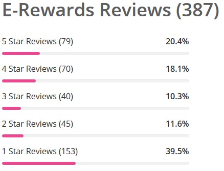 e-rewards users review