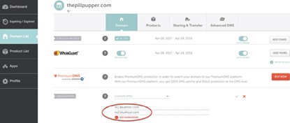namecheap account domain list page - nameservers section - changed to bluehost dns